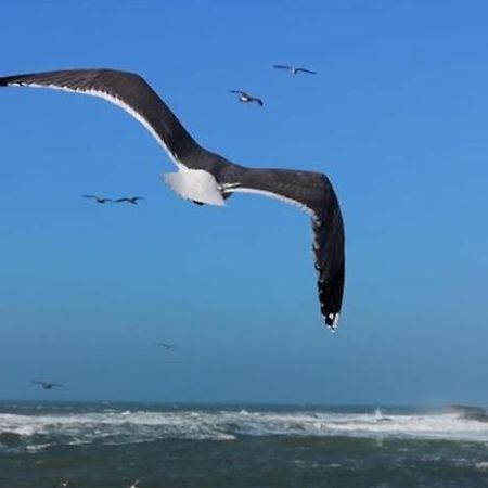 Villa L'Oiseau Bleu Ес-Сувейра Екстер'єр фото